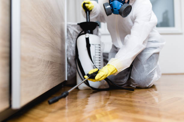 Best Exterminator Services  in Benwood, WV
