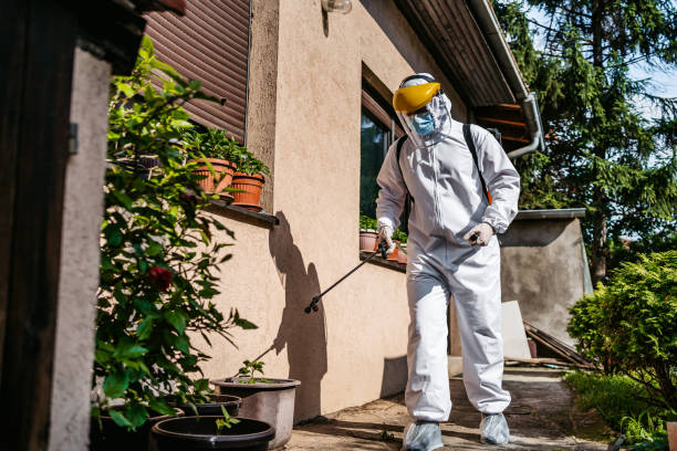 Best Commercial Pest Control Services  in Benwood, WV