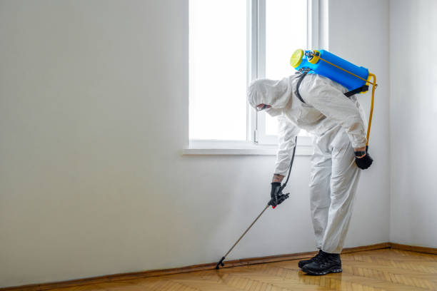 Professional Pest Control in Benwood, WV